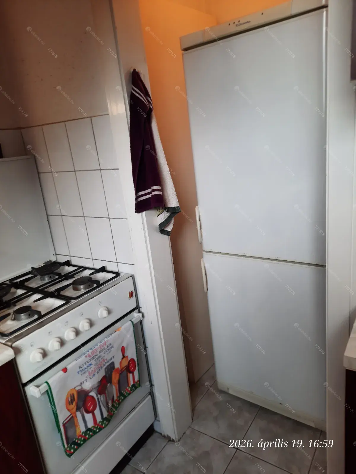 Kiadó albérlet 185000 Ft/hó áron: ,   . Mérete: 41 nm, 1 szobás | Alberlet.hu - 6703003