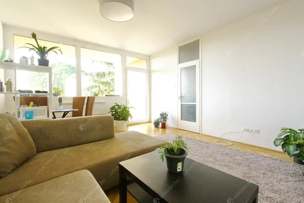 Kiadó albérlet 0 Ft/hó áron: ,   . Mérete:  nm, 1 szobás | Alberlet.hu - 6097099