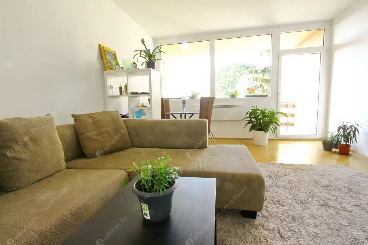 Kiadó albérlet 0 Ft/hó áron: ,   . Mérete:  nm, 1 szobás | Alberlet.hu - 6097100