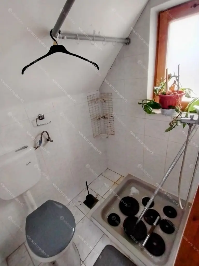 Kiadó albérlet 250000 Ft/hó áron: Aba,  Rozmaring utca. Mérete: 55 nm, 2 szobás | Alberlet.hu - 6691579