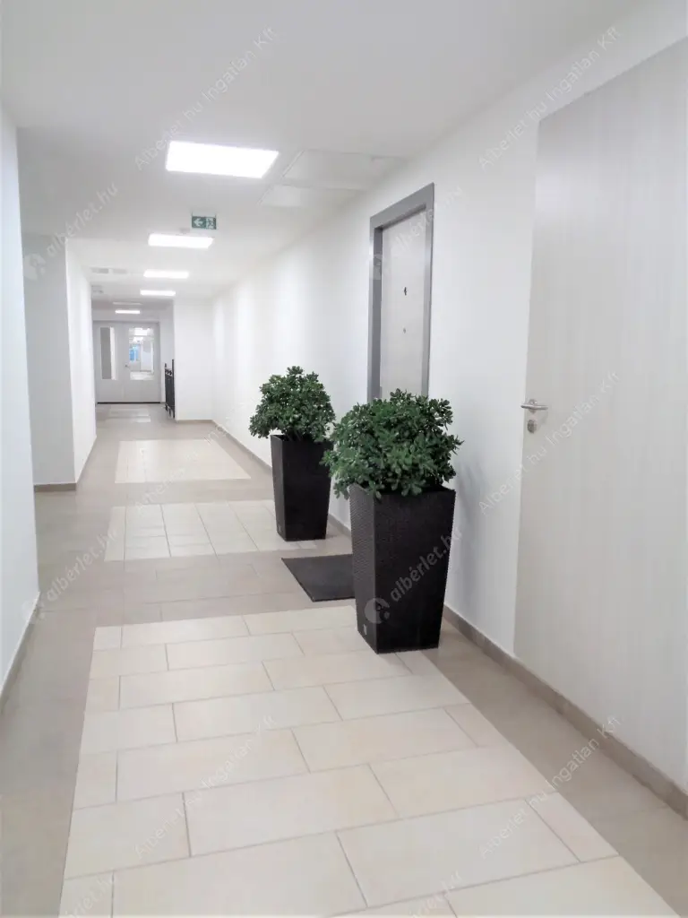 Kiadó albérlet 320000 Ft/hó áron: Biatorbágy,  Kőris utca. Mérete: 72 nm, 2 szobás | Alberlet.hu - 6629167