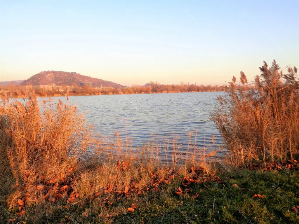 Kiadó albérlet 320000 Ft/hó áron: Biatorbágy,  Kőris utca. Mérete: 72 nm, 2 szobás | Alberlet.hu - 6652783