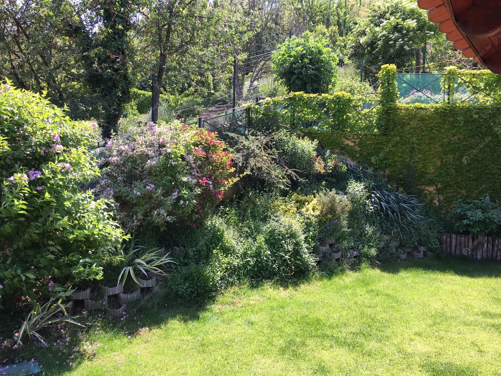 Kiadó albérlet 780000 Ft/hó áron: Budaörs,  Sólyom utca. Mérete: 270 nm, 6 szobás | Alberlet.hu - 6435352