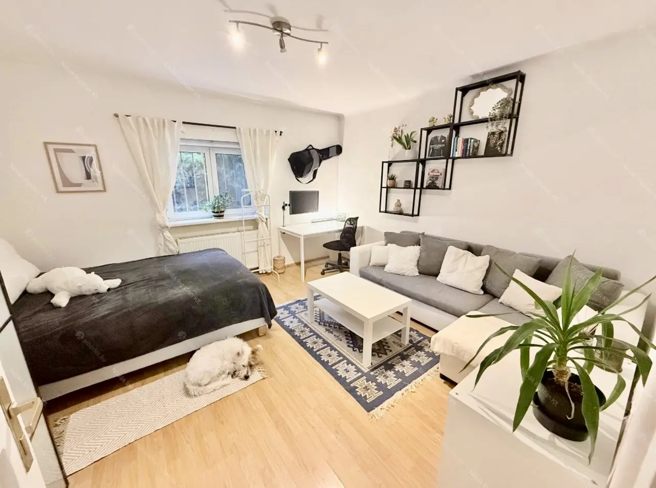 Kiadó albérlet 280000 Ft/hó áron: Budapest, I. kerület  Alsóhegy utca. Mérete: 43 nm, 2 szobás | Alberlet.hu - 6646318