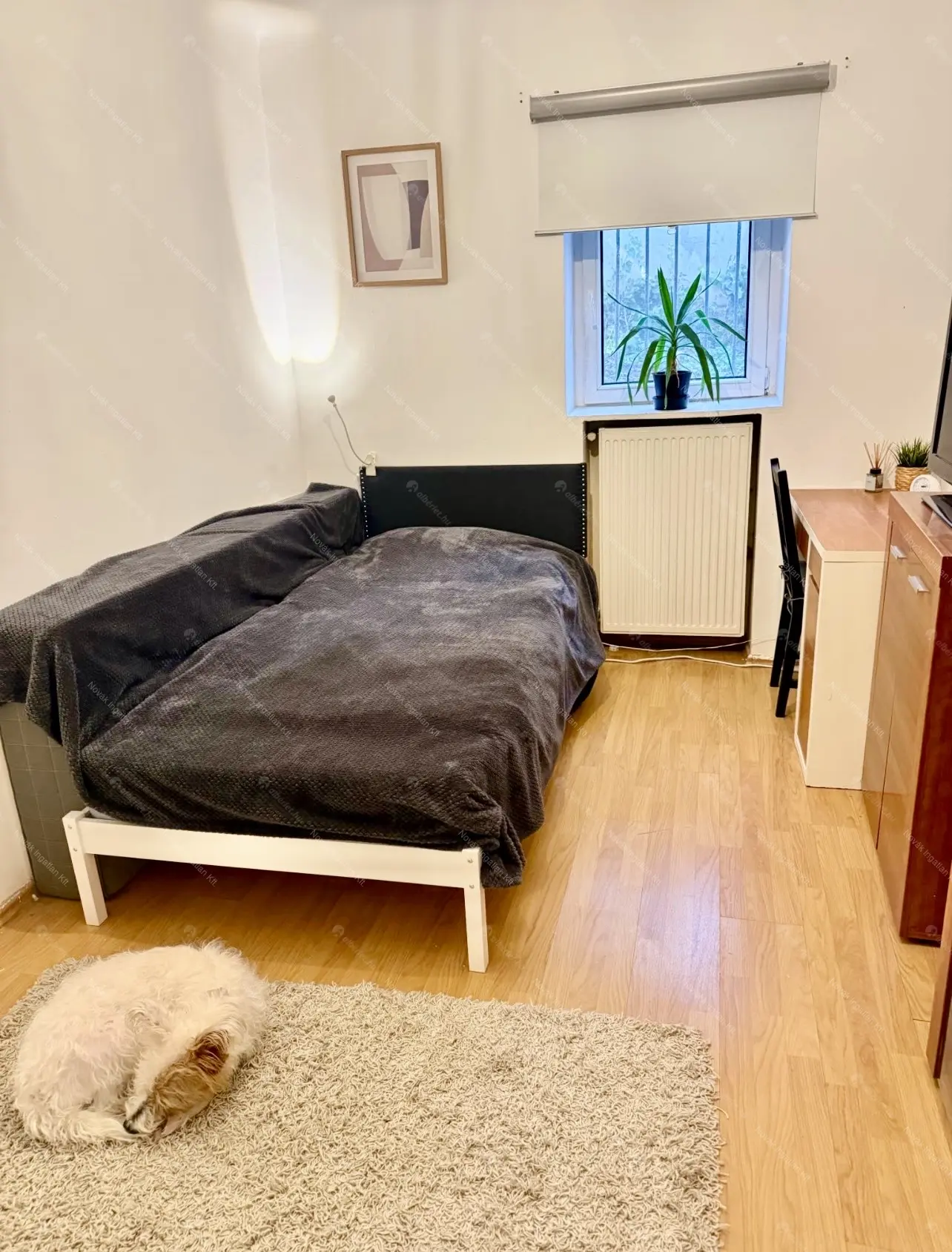 Kiadó albérlet 280000 Ft/hó áron: Budapest, I. kerület  Alsóhegy utca. Mérete: 43 nm, 2 szobás | Alberlet.hu - 6646325