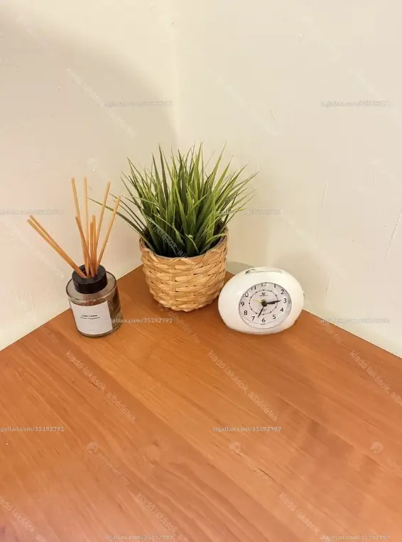 Kiadó albérlet 275000 Ft/hó áron: Budapest, I. kerület  Alsóhegy utca. Mérete: 43 nm, 2 szobás | Alberlet.hu - 6647958