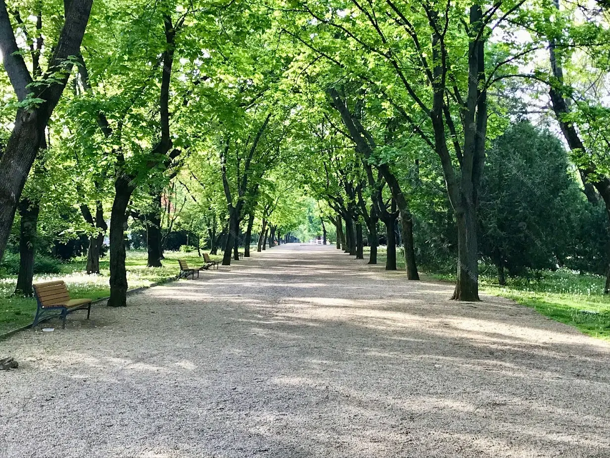 Kiadó albérlet 220000 Ft/hó áron: Budapest, I. kerület  Attila út. Mérete: 32 nm, 1 szobás | Alberlet.hu - 6657499