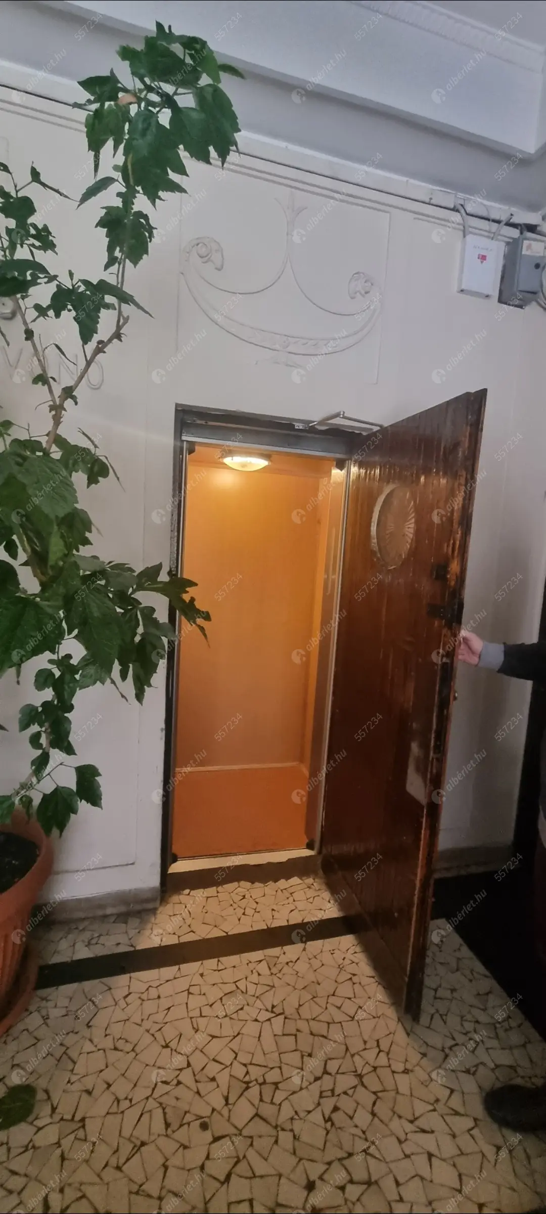 Kiadó albérlet 315000 Ft/hó áron: Budapest, I. kerület  Attila út. Mérete: 60 nm, 2 szobás | Alberlet.hu - 6579121