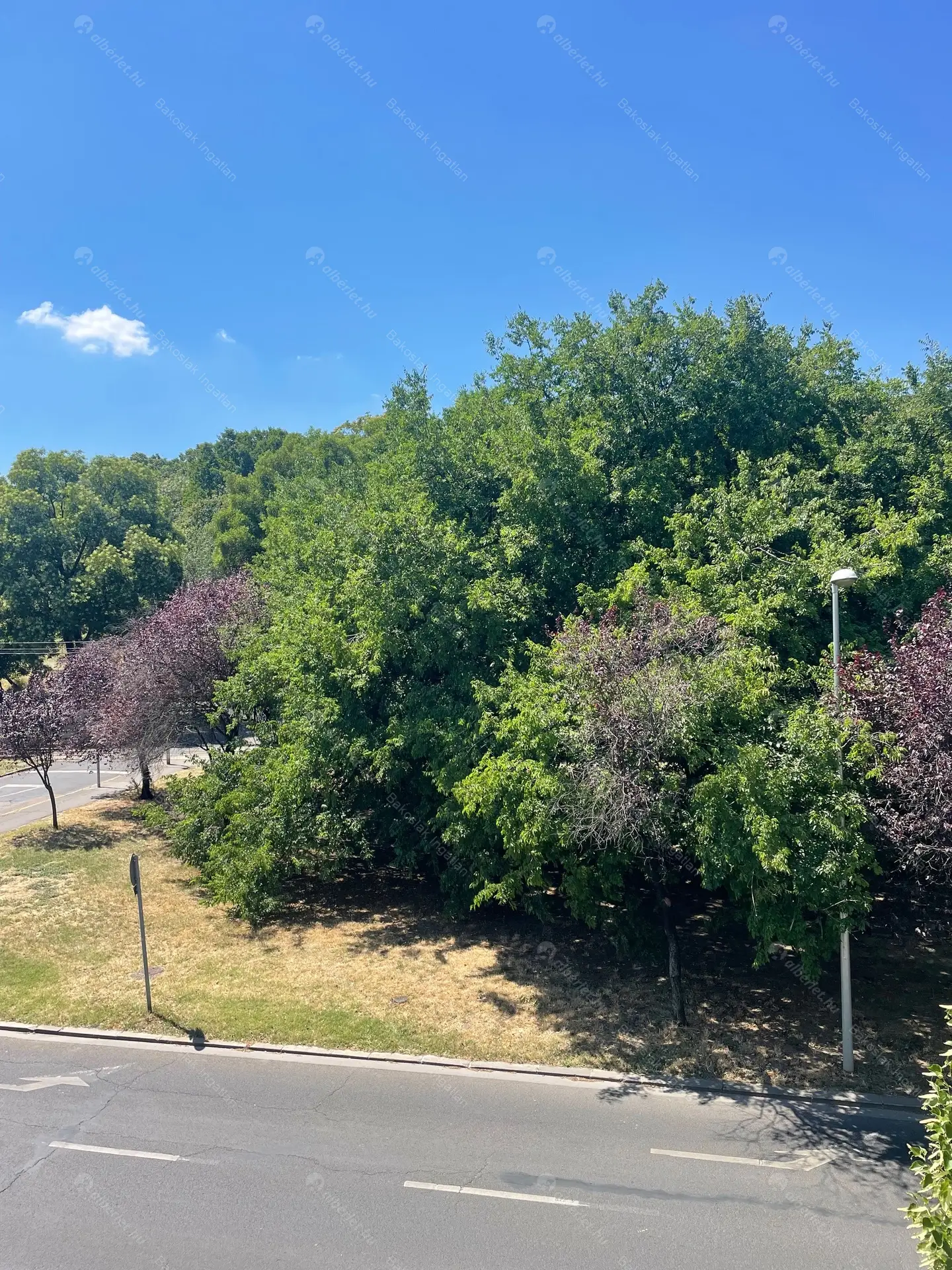 Kiadó albérlet 300000 Ft/hó áron: Budapest, I. kerület  Attila út. Mérete: 76 nm, 2 szobás | Alberlet.hu - 6488557