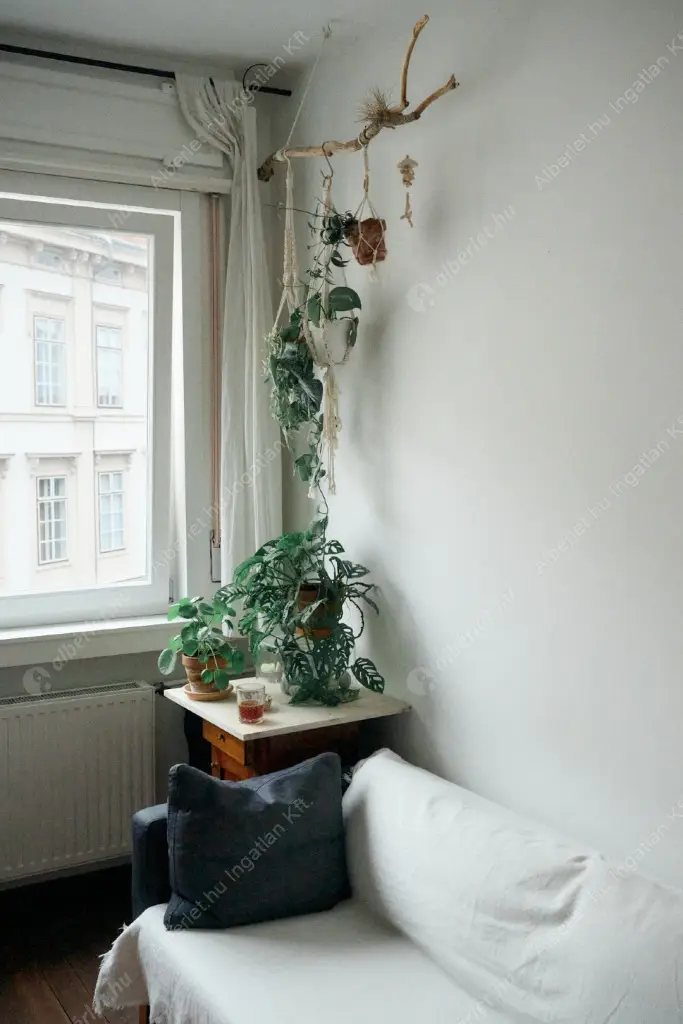 Kiadó albérlet 249000 Ft/hó áron: Budapest, I. kerület  Donáti utca. Mérete: 33 nm, 1 szobás | Alberlet.hu - 6586076