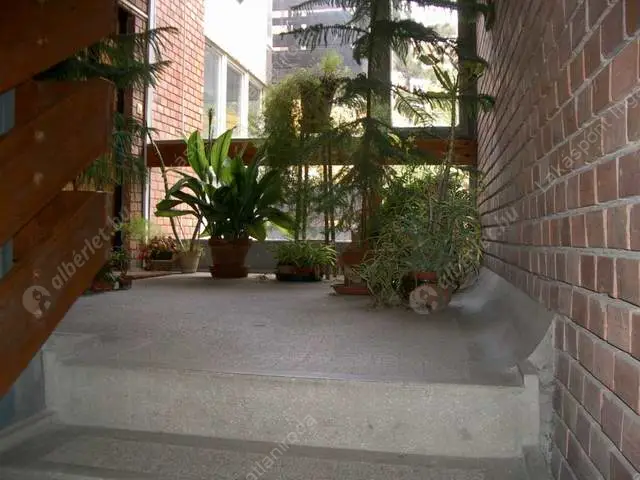 Kiadó albérlet 225000 Ft/hó áron: Budapest, I. kerület  Kocsány utca. Mérete: 41 nm, 2 szobás | Alberlet.hu - 6462453