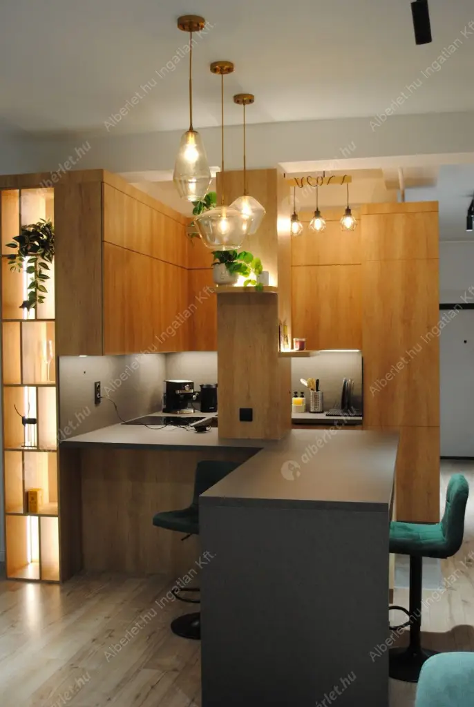 Kiadó albérlet 550000 Ft/hó áron: Budapest, I. kerület  Krisztina körút. Mérete: 65 nm, 2 szobás | Alberlet.hu - 6622527