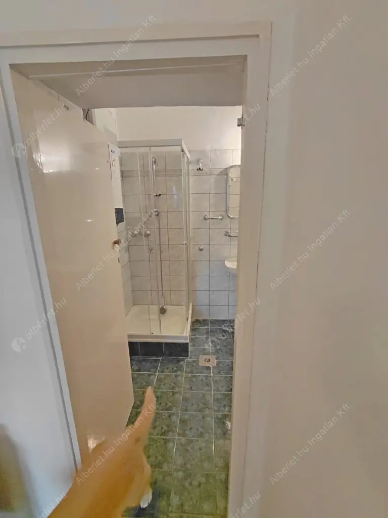 Kiadó albérlet 300000 Ft/hó áron: Budapest, I. kerület  Krisztina körút. Mérete: 73 nm, 2 szobás | Alberlet.hu - 6637725
