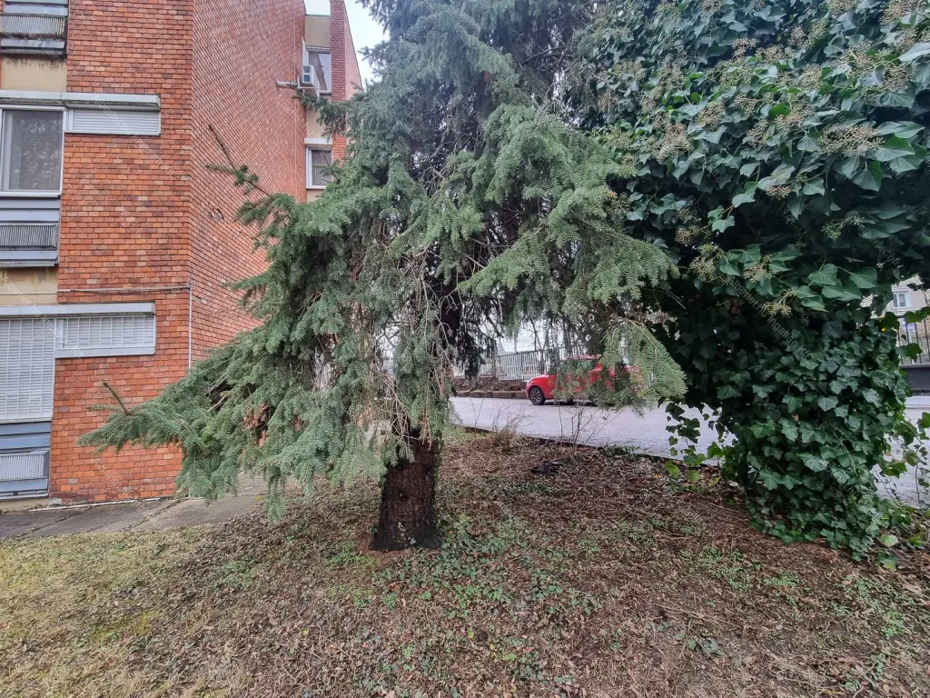 Kiadó albérlet 350000 Ft/hó áron: Budapest, I. kerület  Szirtes út. Mérete: 46 nm, 2 szobás | Alberlet.hu - 6645127