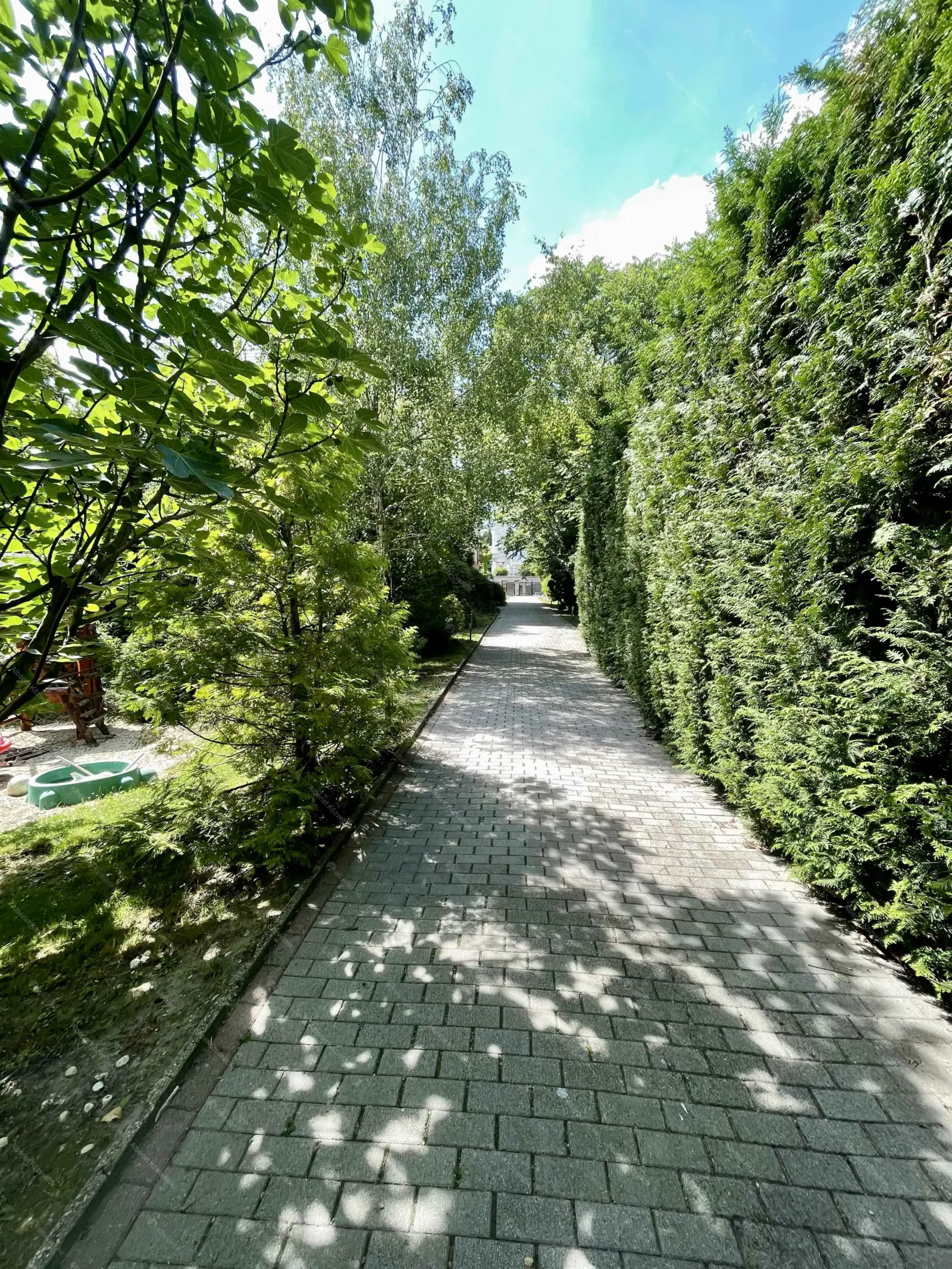 Kiadó albérlet 280000 Ft/hó áron: Budapest, II. kerület  Ady Endre utca. Mérete: 51 nm, 2 szobás | Alberlet.hu - 6660311