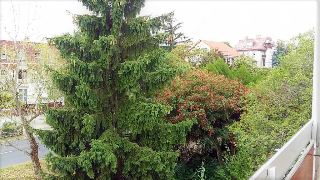 Kiadó albérlet 275000 Ft/hó áron: Budapest, II. kerület  Ali utca. Mérete: 72 nm, 2 szobás | Alberlet.hu - 6583992