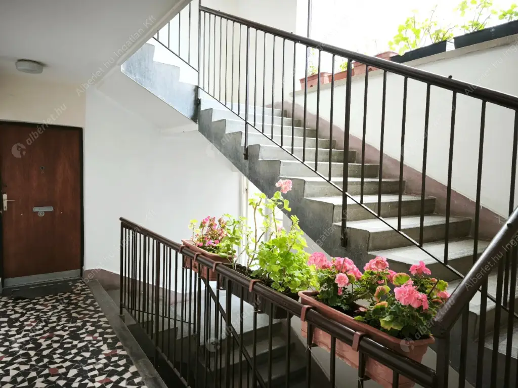 Kiadó albérlet 275000 Ft/hó áron: Budapest, II. kerület  Ali utca. Mérete: 72 nm, 2 szobás | Alberlet.hu - 6584015