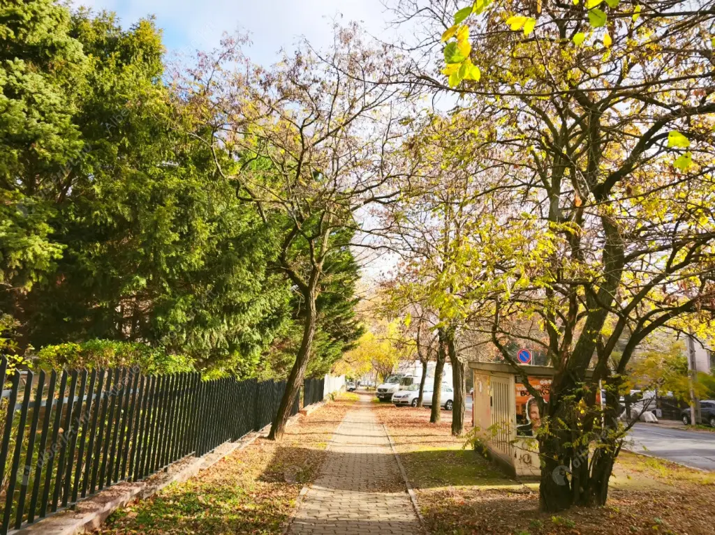 Kiadó albérlet 275000 Ft/hó áron: Budapest, II. kerület  Ali utca. Mérete: 72 nm, 2 szobás | Alberlet.hu - 6584016