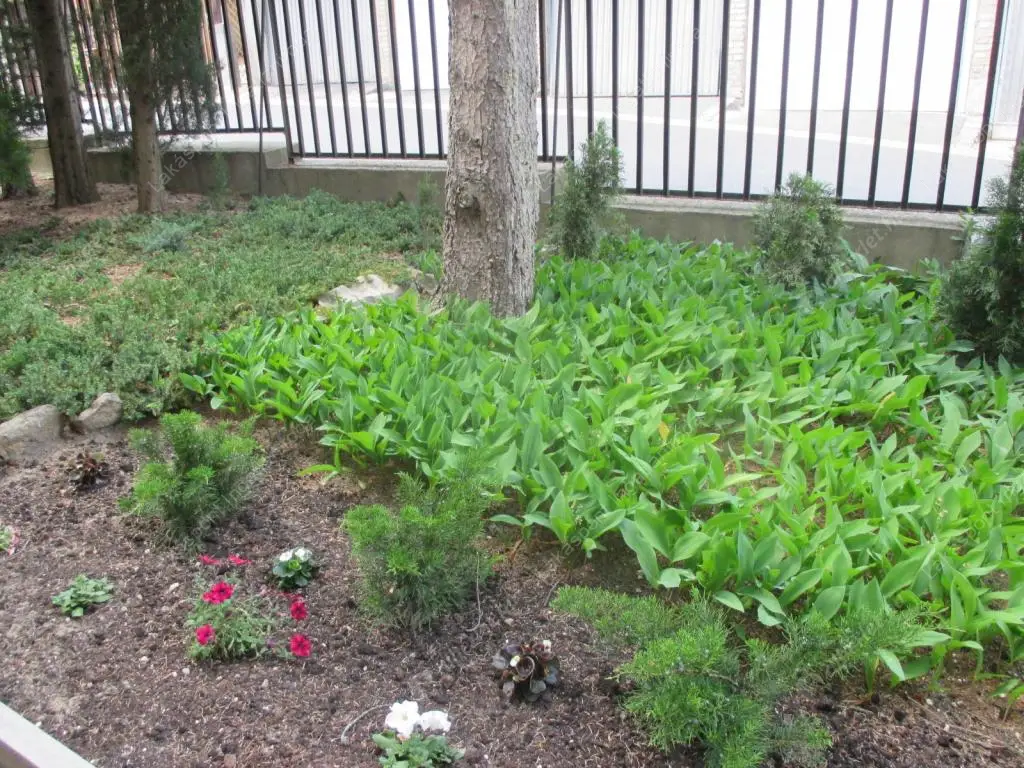 Kiadó albérlet 290000 Ft/hó áron: Budapest, II. kerület  Alvinci út. Mérete: 46 nm, 1 szobás | Alberlet.hu - 6557156