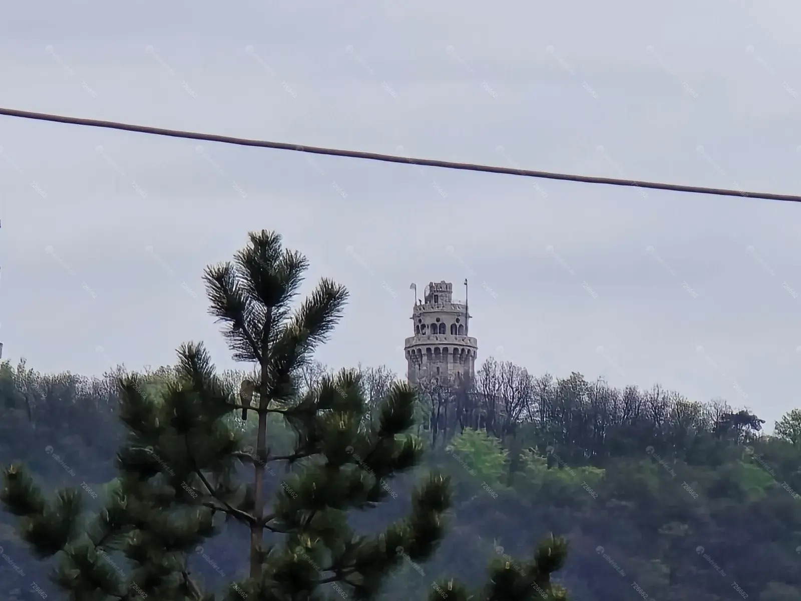 Kiadó albérlet 190000 Ft/hó áron: Budapest, II. kerület  Budakeszi  . Mérete: 54 nm, 2 szobás | Alberlet.hu - 6698558