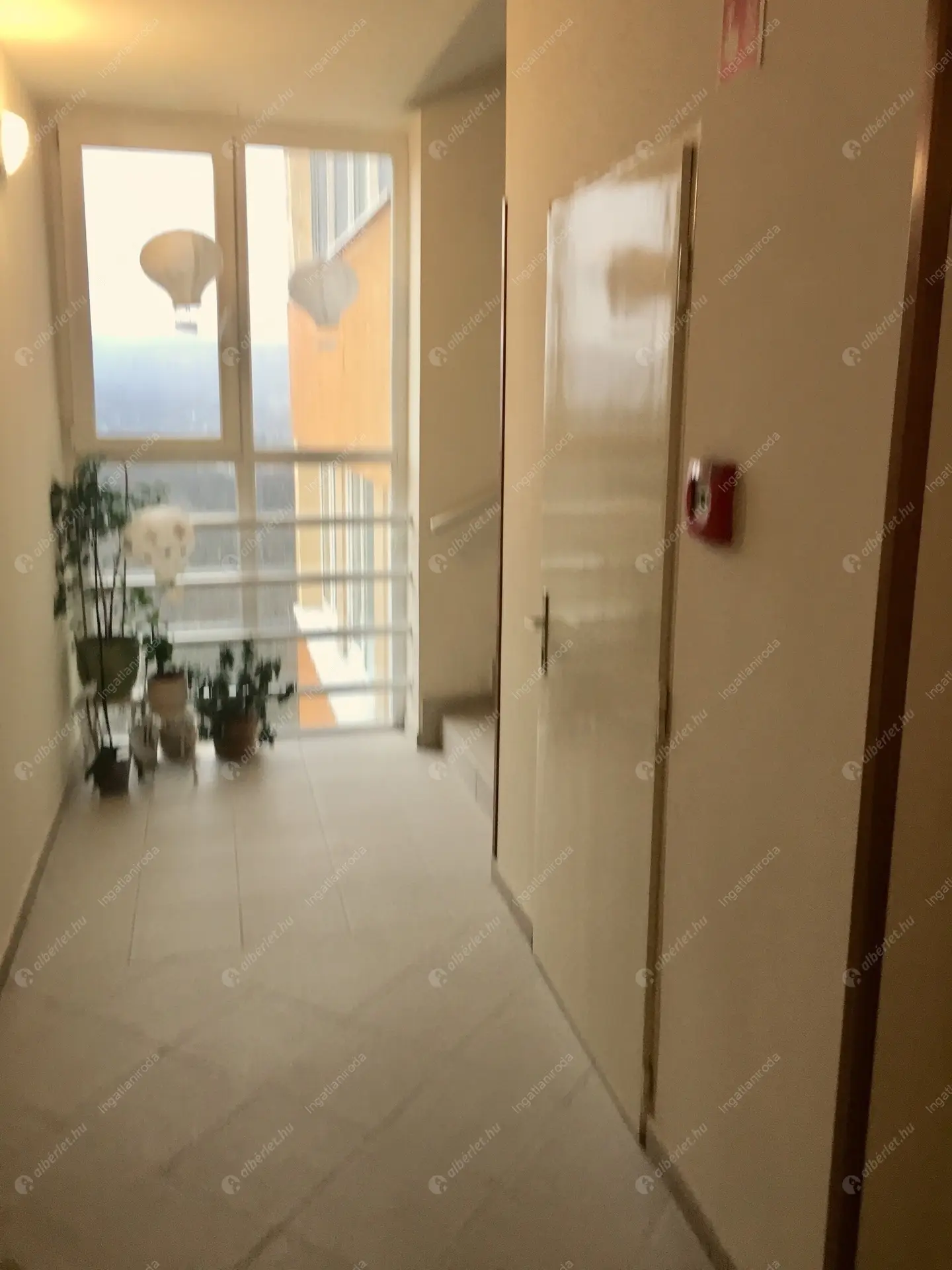 Kiadó albérlet 230000 Ft/hó áron: Budapest, II. kerület  Budakeszi út. Mérete: 40 nm, 1 szobás | Alberlet.hu - 6195616