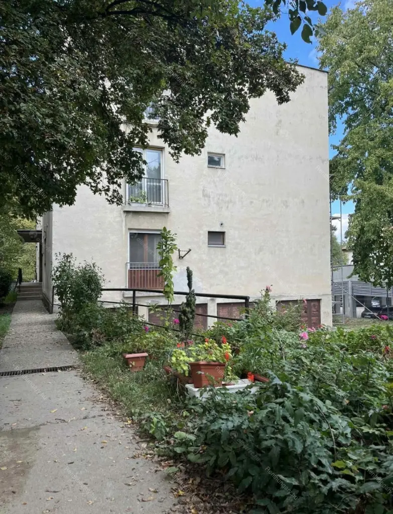 Kiadó albérlet 250000 Ft/hó áron: Budapest, II. kerület  Budakeszi út. Mérete: 48 nm, 2 szobás | Alberlet.hu - 6701245