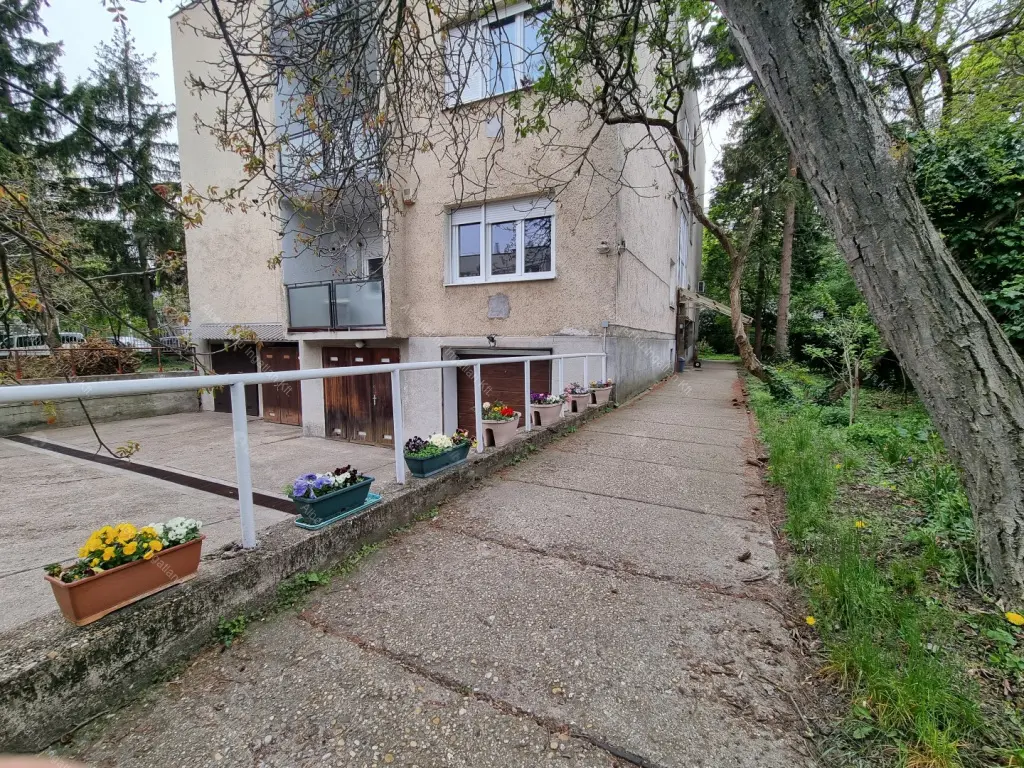 Kiadó albérlet 290000 Ft/hó áron: Budapest, II. kerület  Búzavirág utca. Mérete: 57 nm, 2 szobás | Alberlet.hu - 6698258