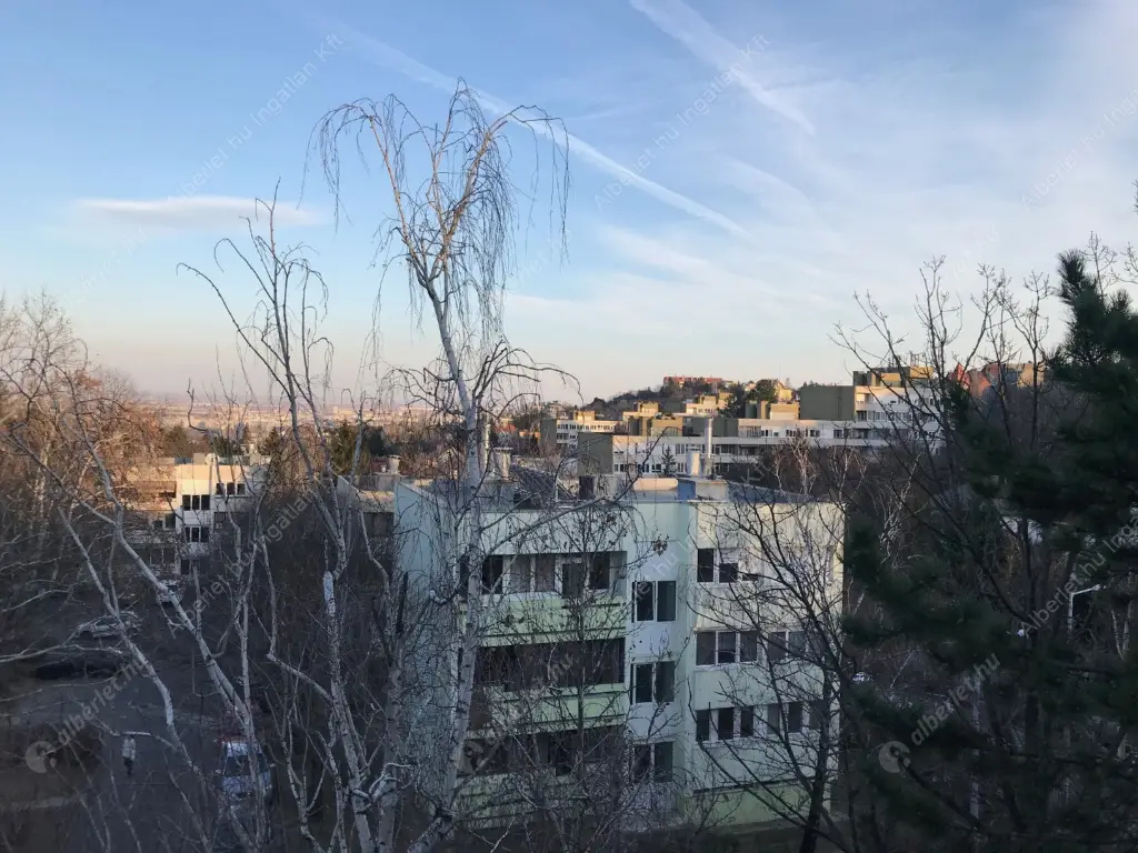 Kiadó albérlet 340000 Ft/hó áron: Budapest, II. kerület  Csalit utca. Mérete: 55 nm, 2 szobás | Alberlet.hu - 6585389