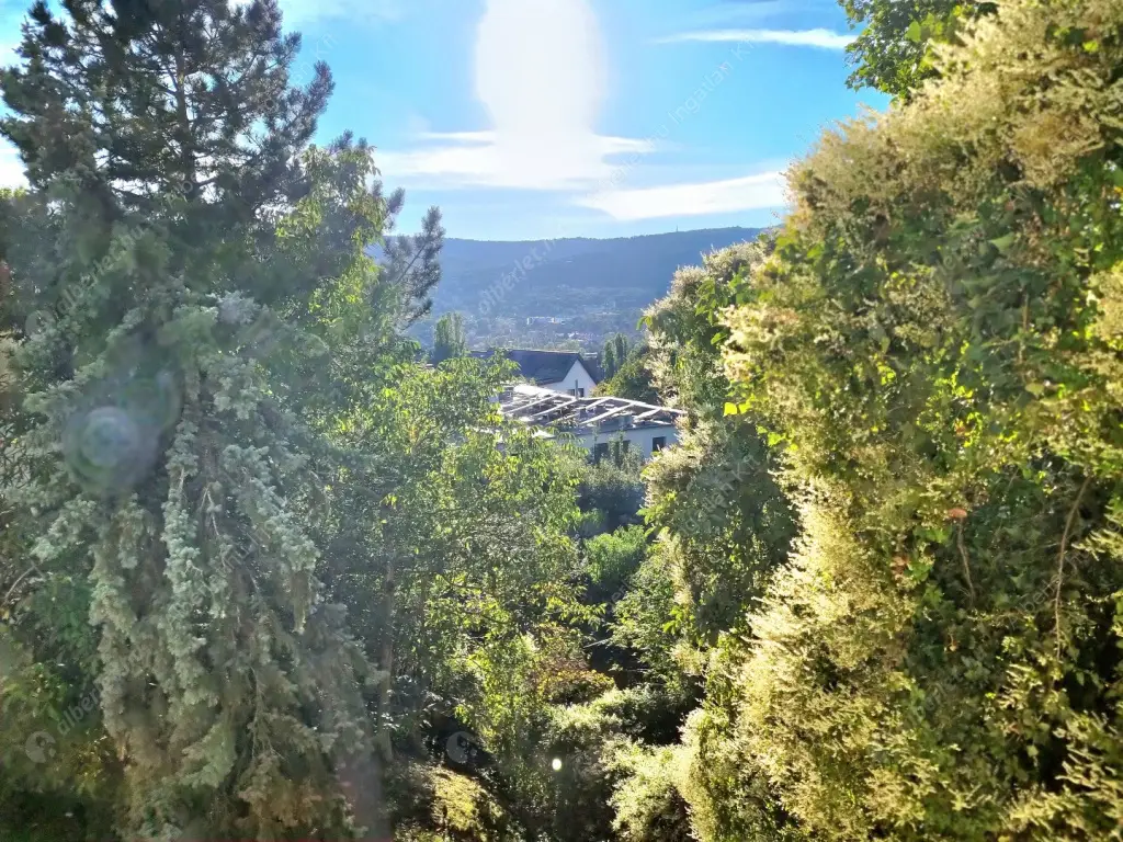 Kiadó albérlet 348000 Ft/hó áron: Budapest, II. kerület  Endrődi Sándor utca. Mérete: 71 nm, 2 szobás | Alberlet.hu - 6615414