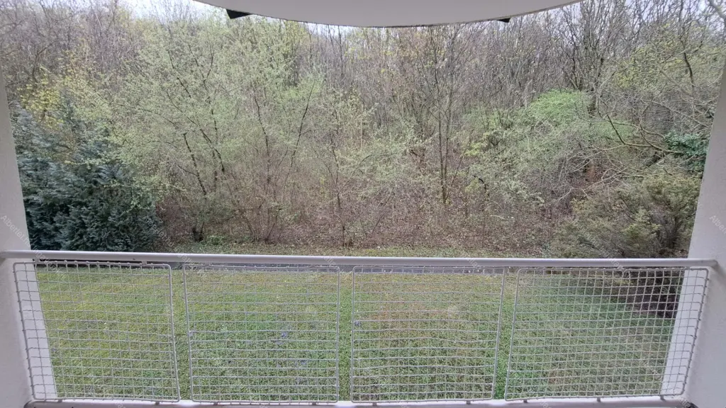 Kiadó albérlet 790000 Ft/hó áron: Budapest, II. kerület  Felső Zöldmáli út. Mérete: 185 nm, 3 szobás | Alberlet.hu - 6709054