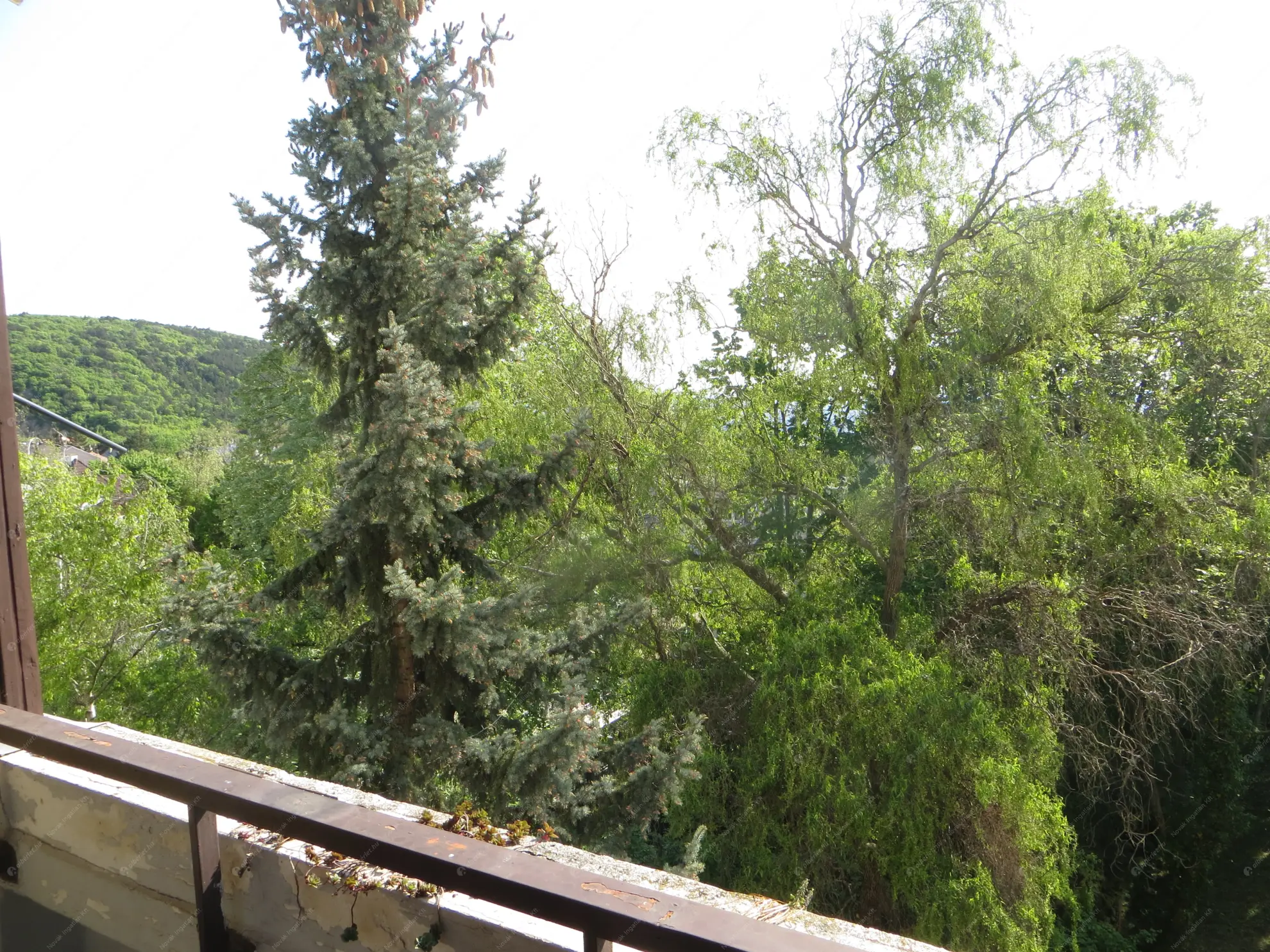 Kiadó albérlet 260000 Ft/hó áron: Budapest, II. kerület  Felső Zöldmáli út. Mérete: 64 nm, 2 szobás | Alberlet.hu - 6585813