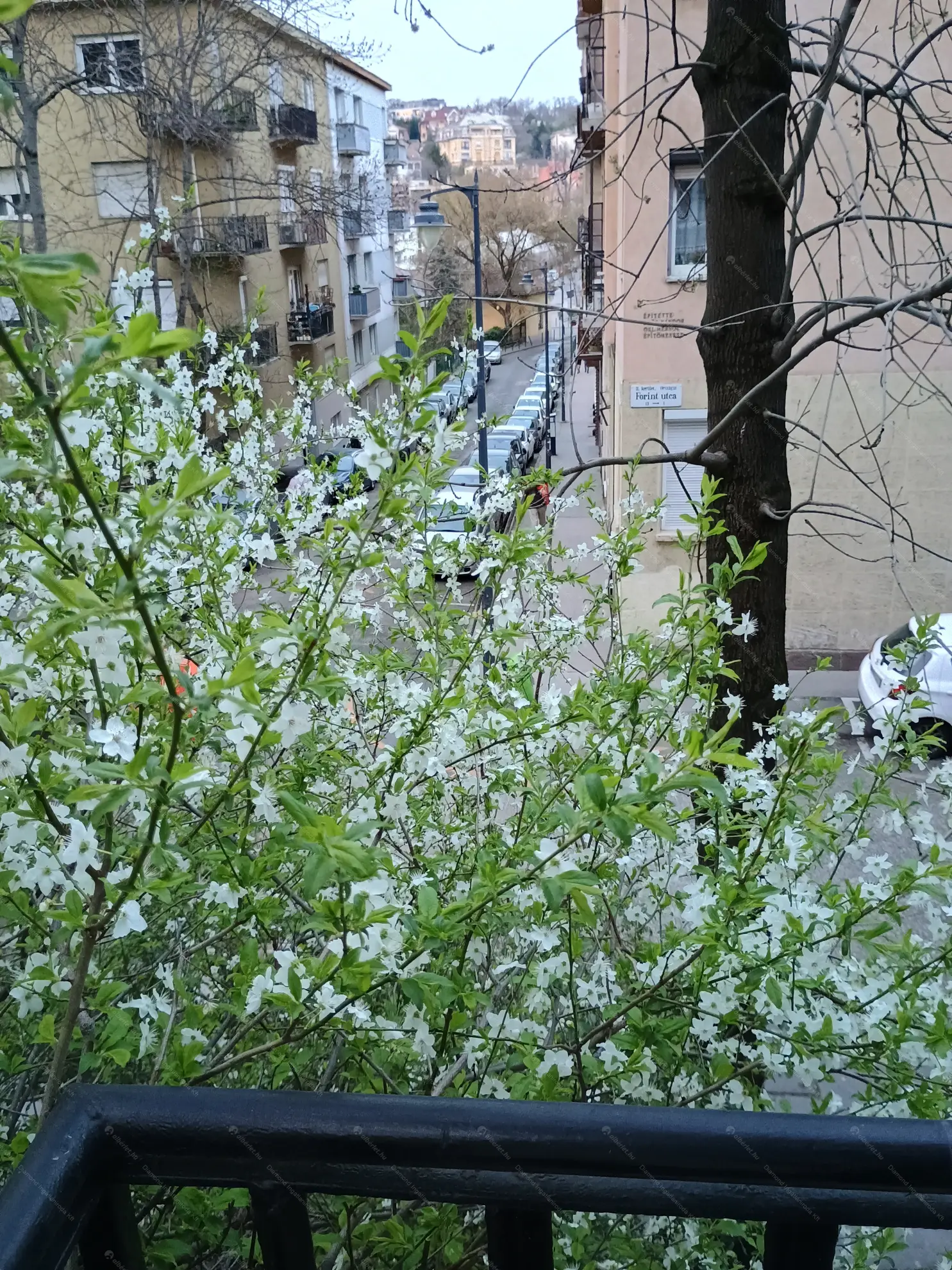 Kiadó albérlet 190000 Ft/hó áron: Budapest, II. kerület  Forint utca. Mérete: 31 nm, 1 szobás | Alberlet.hu - 6634964