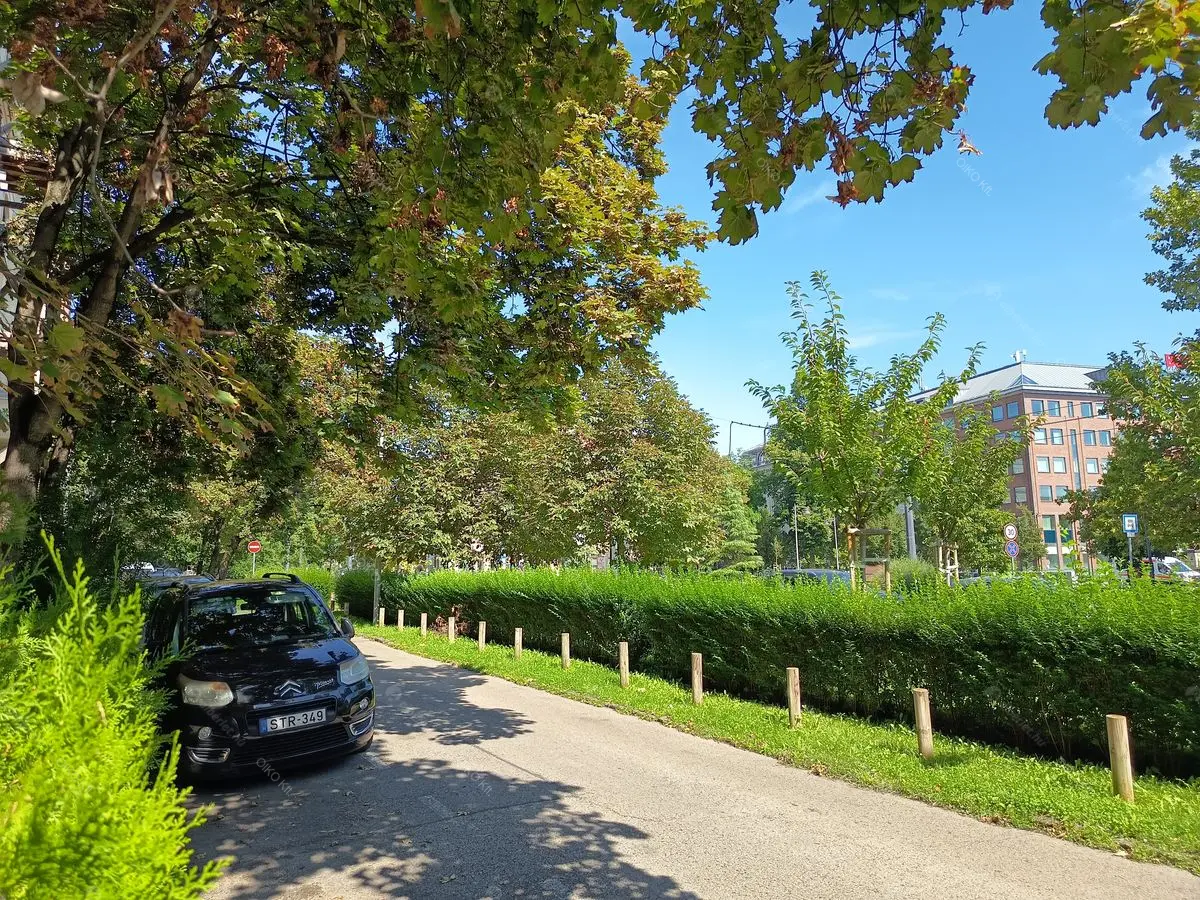 Kiadó albérlet 188000 Ft/hó áron: Budapest, II. kerület  Frankel Leó út. Mérete: 40 nm, 1 szobás | Alberlet.hu - 6659771