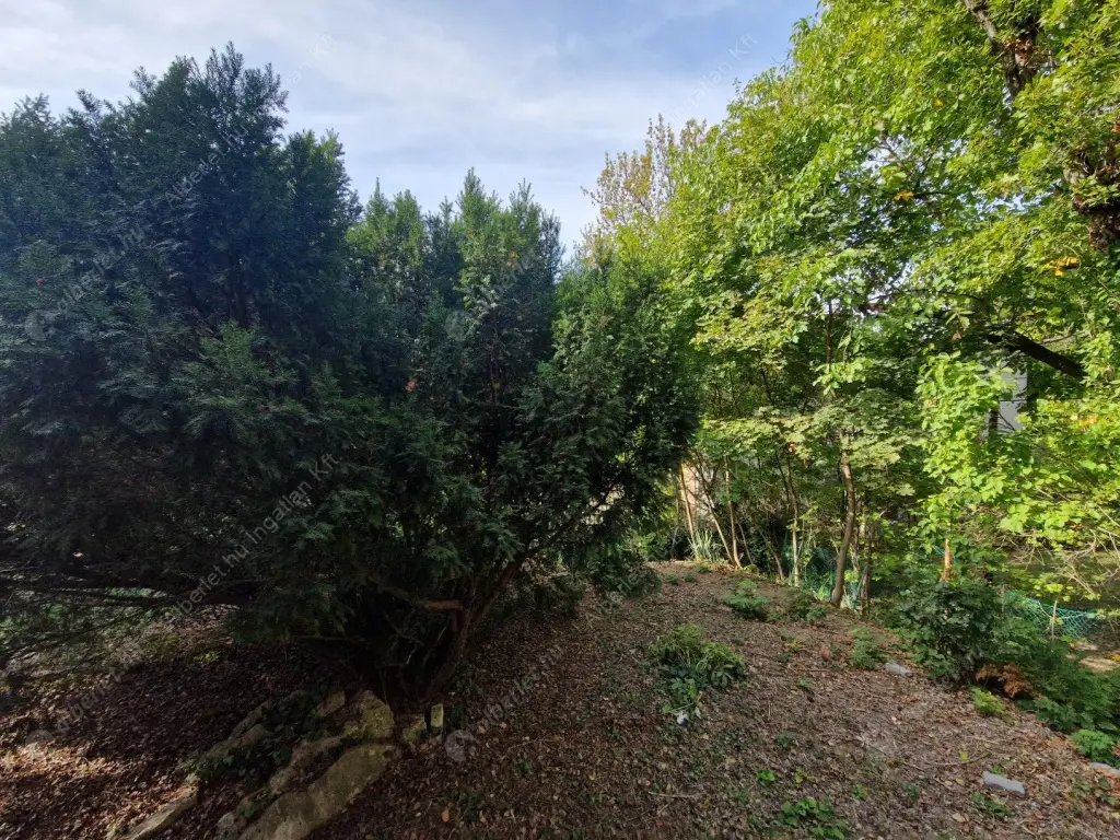 Kiadó albérlet 290000 Ft/hó áron: Budapest, II. kerület  Herman Ottó út. Mérete: 65 nm, 2 szobás | Alberlet.hu - 6561050