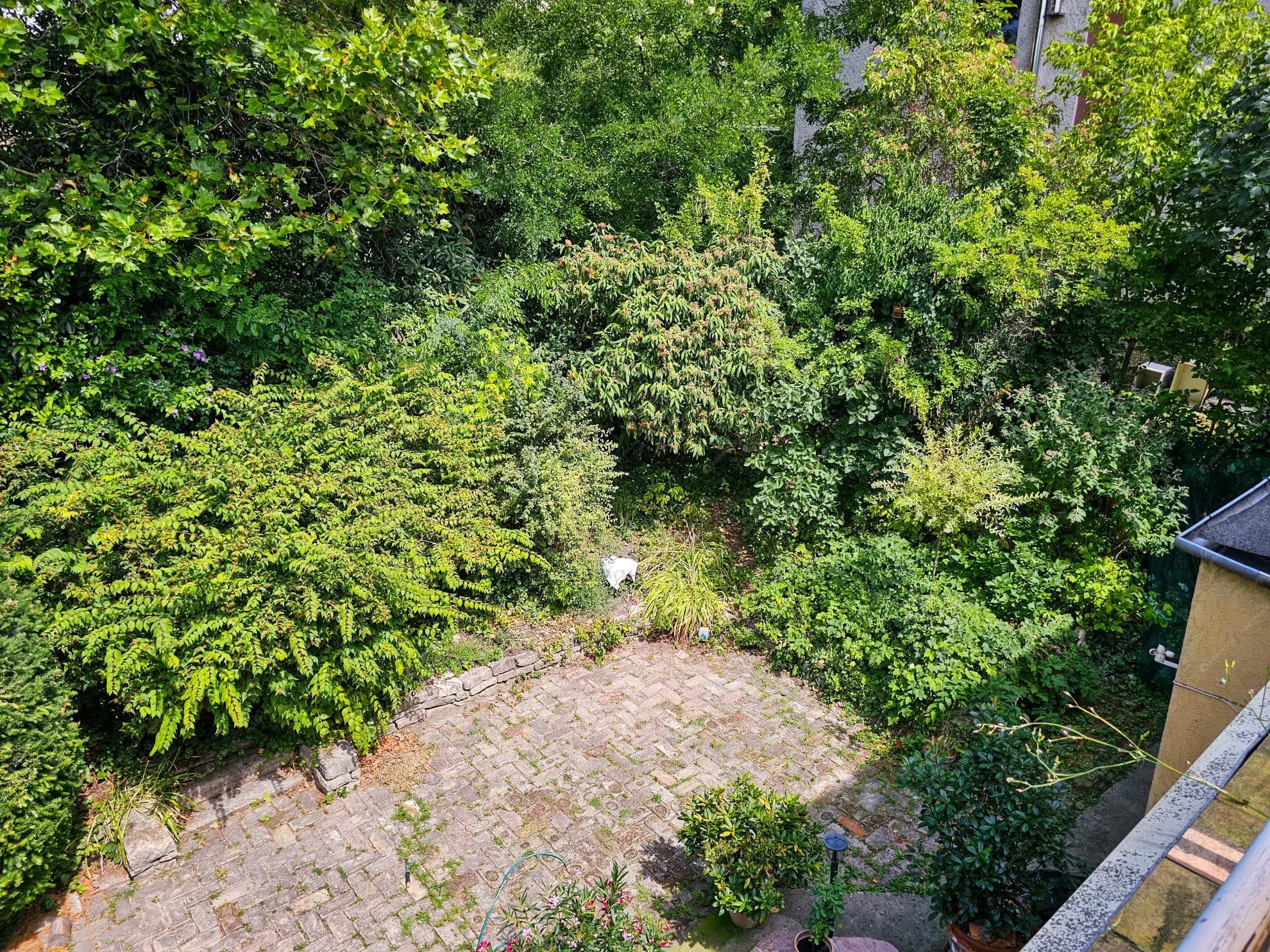 Kiadó albérlet 505000 Ft/hó áron: Budapest, II. kerület  Herman Ottó út. Mérete: 83 nm, 2 szobás | Alberlet.hu - 6552590