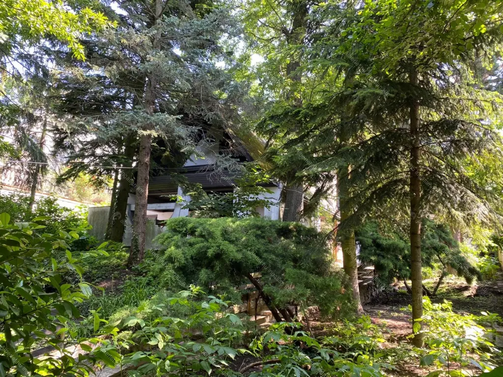 Kiadó albérlet 550000 Ft/hó áron: Budapest, II. kerület  Homokóra utca. Mérete: 140 nm, 3 szobás | Alberlet.hu - 6695704