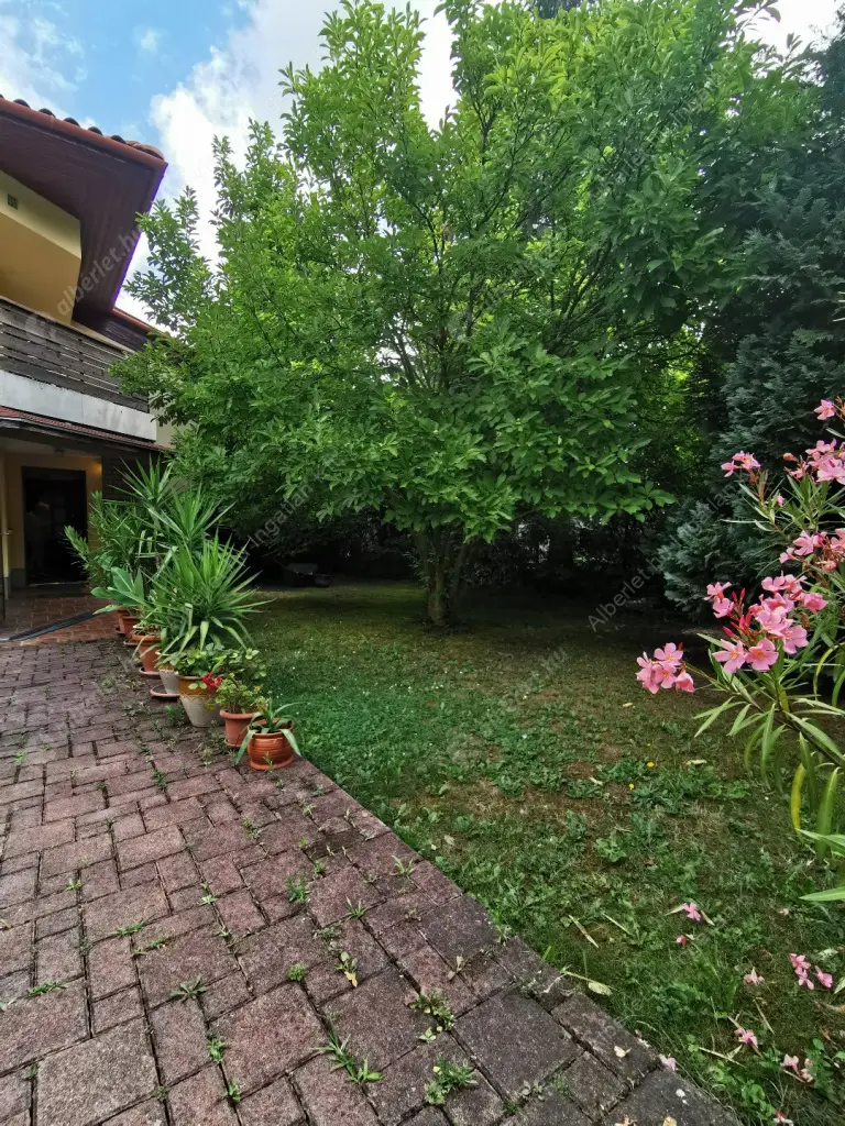 Kiadó albérlet 360000 Ft/hó áron: Budapest, II. kerület  Huba vezér utca. Mérete: 75 nm, 3 szobás | Alberlet.hu - 6572859