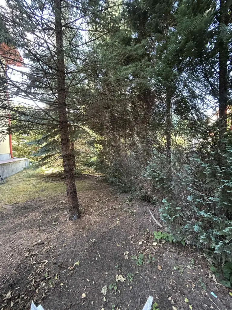 Kiadó albérlet 340000 Ft/hó áron: Budapest, II. kerület  Huba vezér utca. Mérete: 75 nm, 3 szobás | Alberlet.hu - 6574543