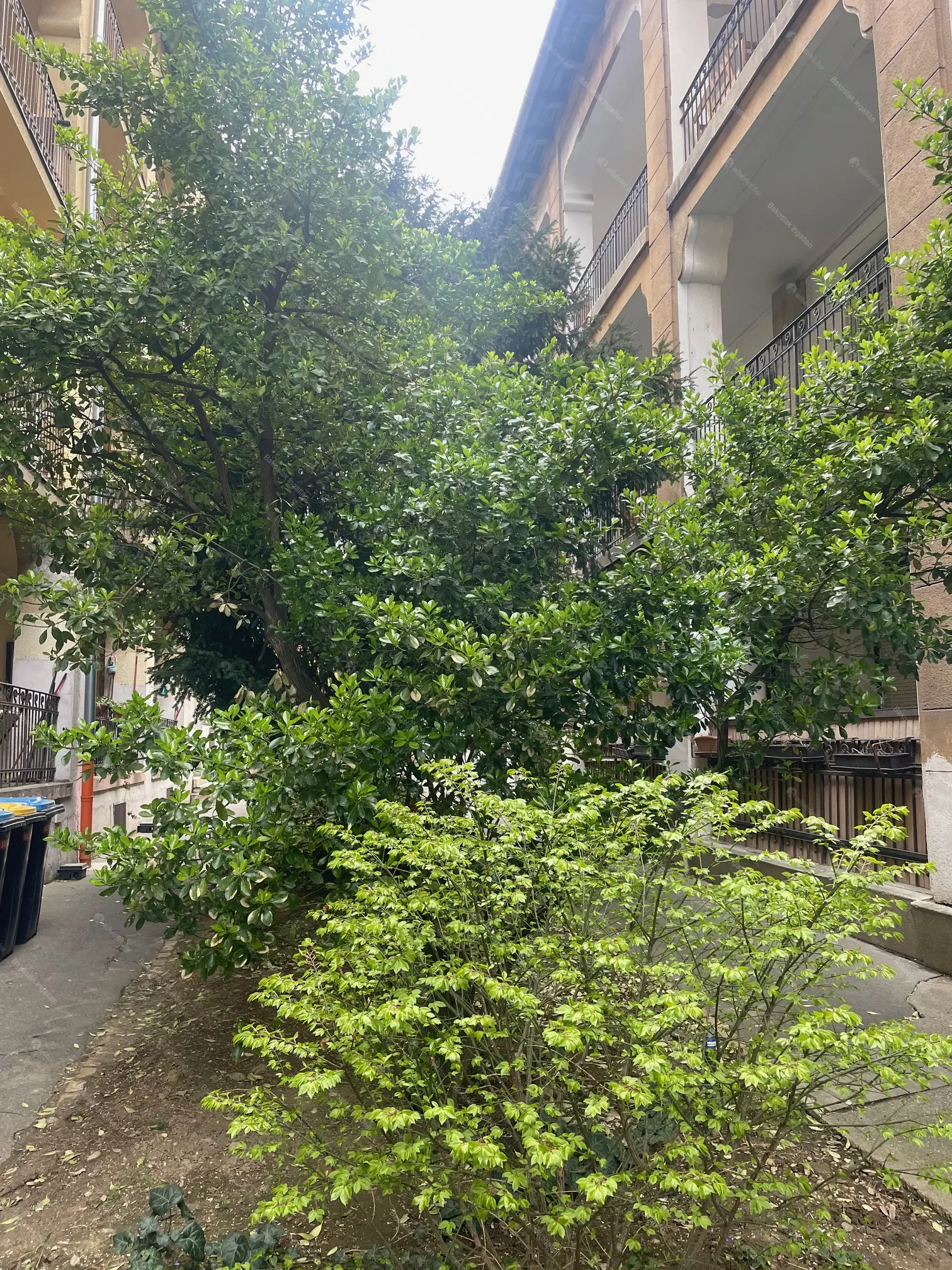 Kiadó albérlet 190000 Ft/hó áron: Budapest, II. kerület  Hűvösvölgyi út. Mérete: 40 nm, 1 szobás | Alberlet.hu - 6691187