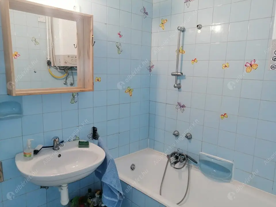 Kiadó albérlet 250000 Ft/hó áron: Budapest, II. kerület  Kapy utca. Mérete: 58 nm, 2 szobás | Alberlet.hu - 5524720