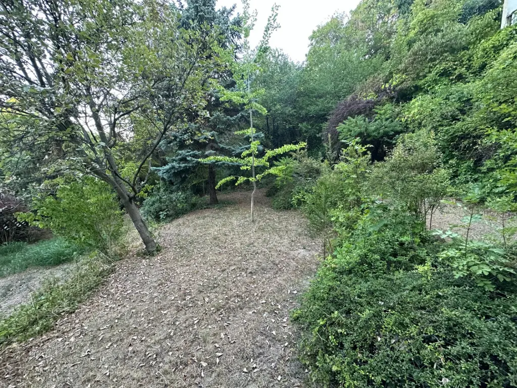 Kiadó albérlet 500000 Ft/hó áron: Budapest, II. kerület  Kavics utca. Mérete: 114 nm, 3 szobás | Alberlet.hu - 6568868