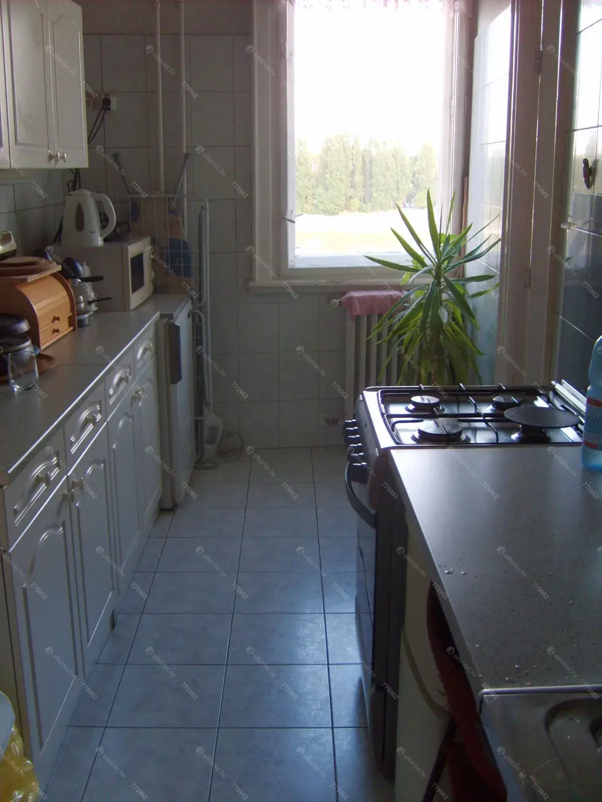 Kiadó albérlet 250000 Ft/hó áron: Budapest, II. kerület  Kavics utca. Mérete: 62 nm, 2 szobás | Alberlet.hu - 6699165