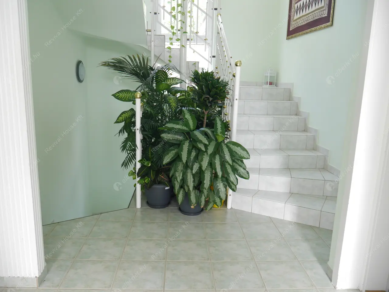 Kiadó albérlet 1500000 Ft/hó áron: Budapest, II. kerület  Kisgazda utca. Mérete: 400 nm, 7 szobás | Alberlet.hu - 5341524