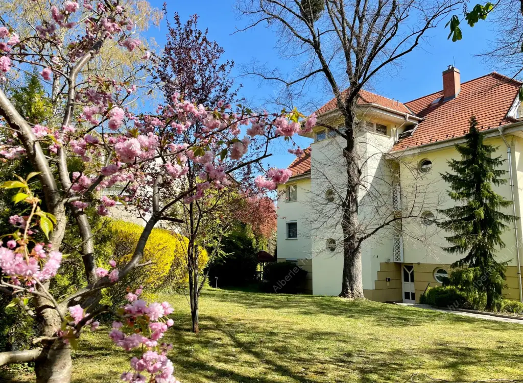 Kiadó albérlet 796000 Ft/hó áron: Budapest, II. kerület  Labanc út. Mérete: 108 nm, 3 szobás | Alberlet.hu - 6539340