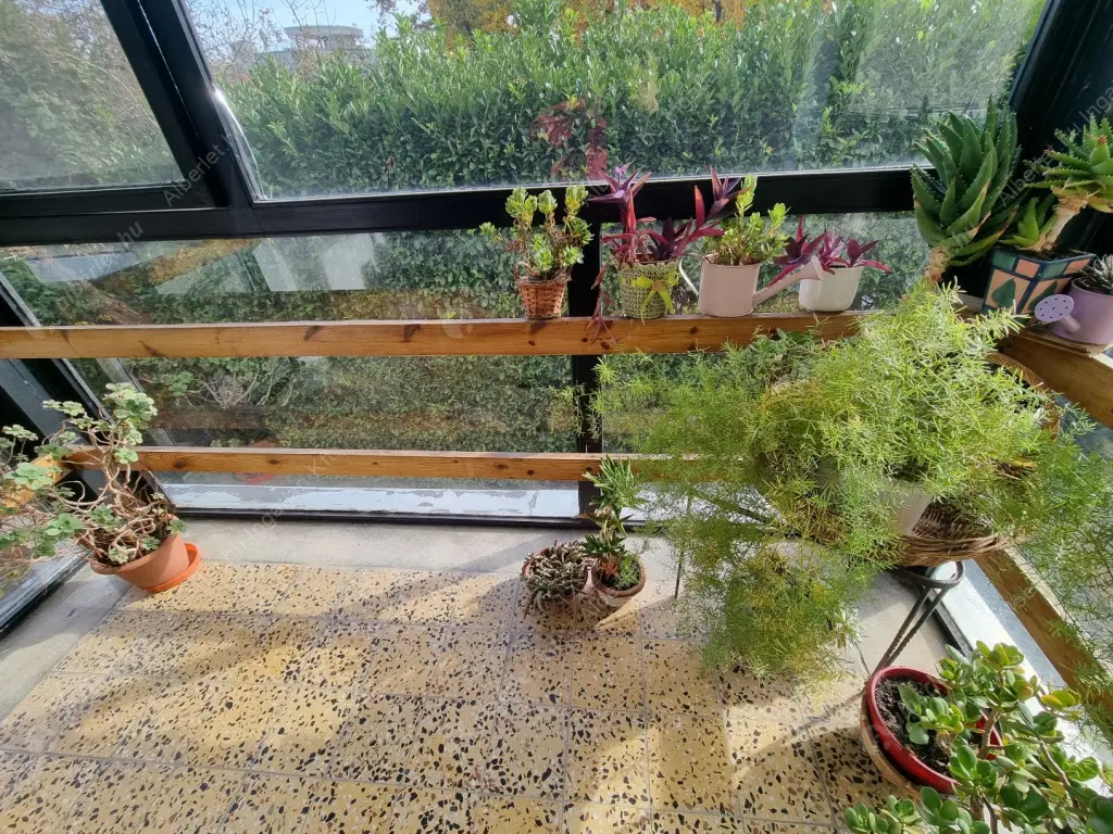 Kiadó albérlet 319000 Ft/hó áron: Budapest, II. kerület  Labanc út. Mérete: 54 nm, 2 szobás | Alberlet.hu - 6615284