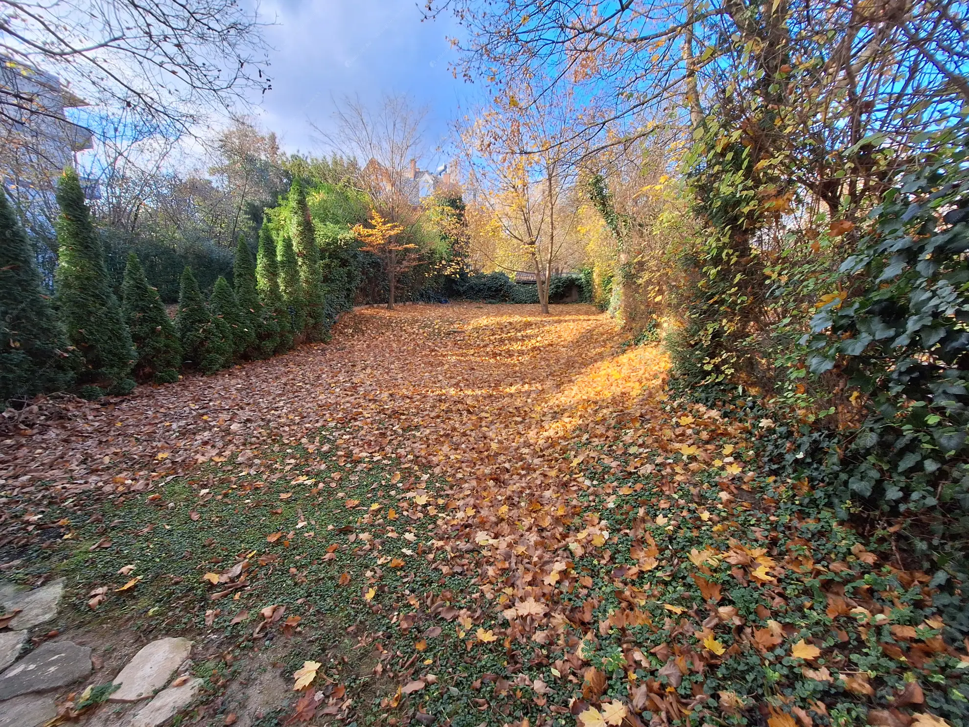 Kiadó albérlet 1067000 Ft/hó áron: Budapest, II. kerület  Lotz Károly utca. Mérete: 150 nm, 4 szobás | Alberlet.hu - 6579844