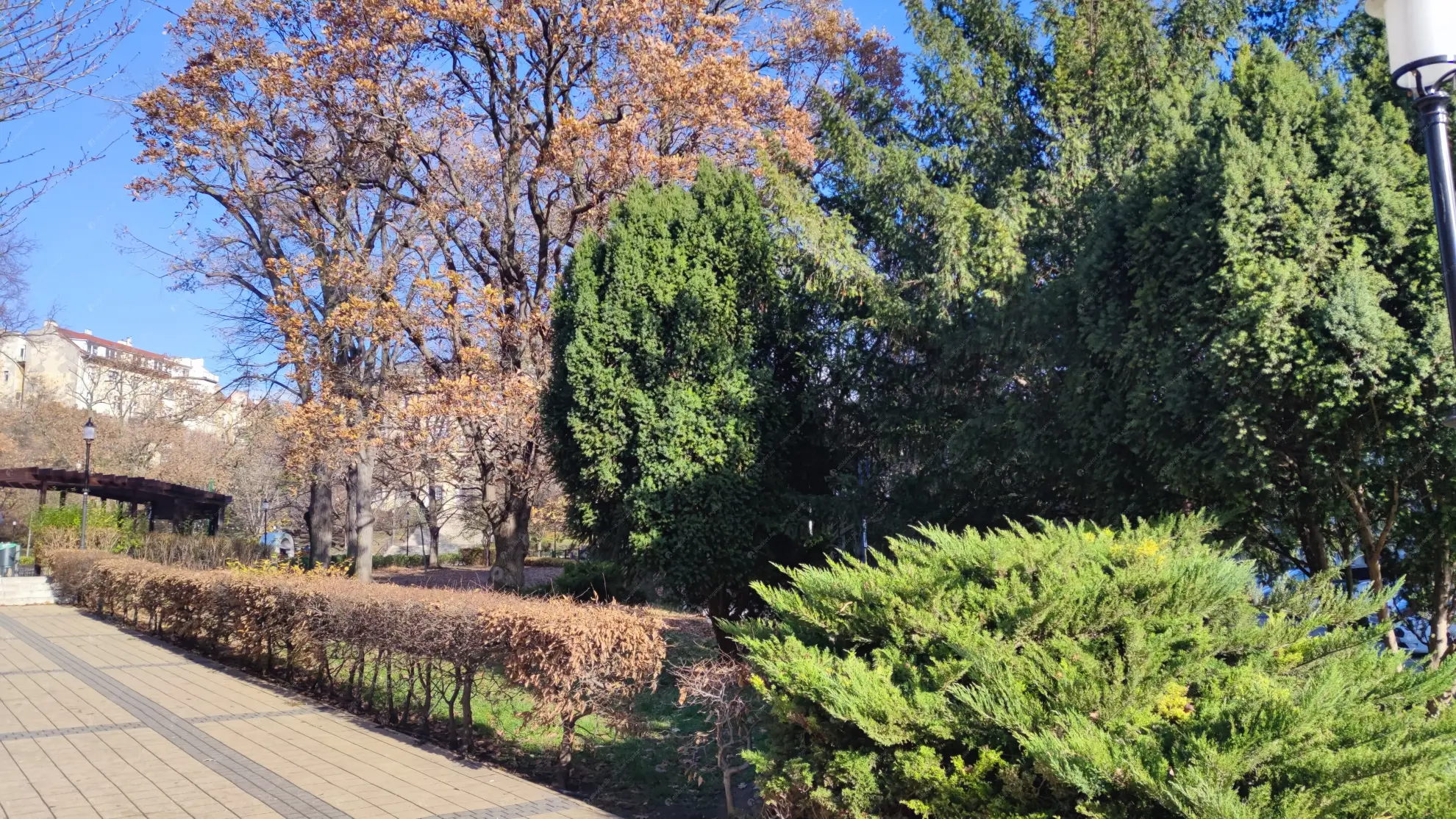 Kiadó albérlet 270000 Ft/hó áron: Budapest, II. kerület  Mechwart liget. Mérete: 70 nm, 2 szobás | Alberlet.hu - 6602065