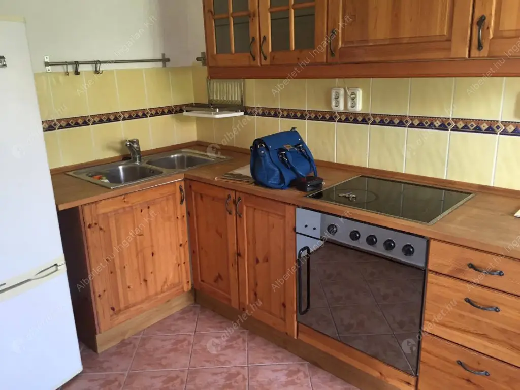 Kiadó albérlet 370000 Ft/hó áron: Budapest, II. kerület  Nyúl utca. Mérete: 55 nm, 1 szobás | Alberlet.hu - 6632963