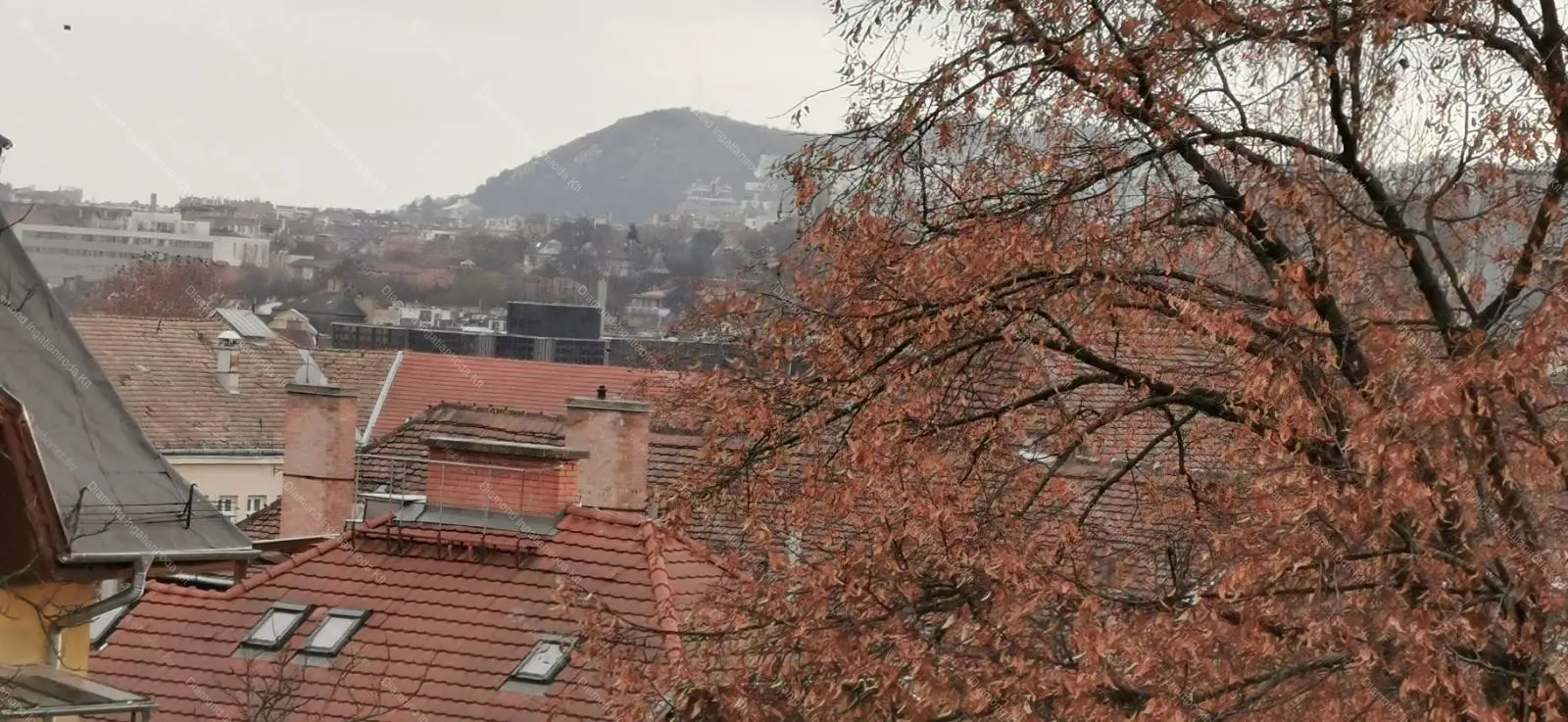 Kiadó albérlet 250000 Ft/hó áron: Budapest, II. kerület  Nyúl utca. Mérete: 55 nm, 2 szobás | Alberlet.hu - 6681531