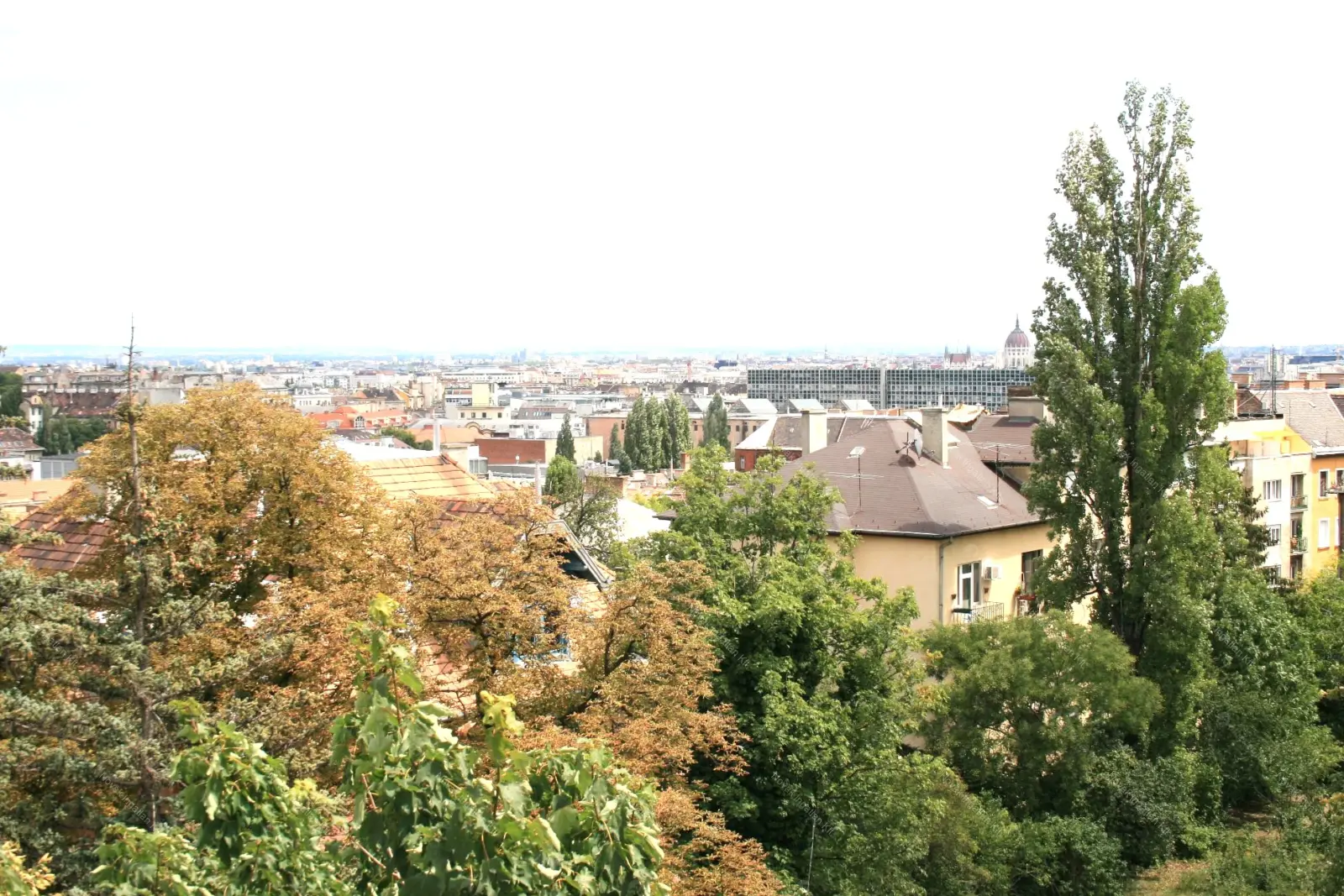 Kiadó albérlet 280000 Ft/hó áron: Budapest, II. kerület  Nyúl utca. Mérete: 55 nm, 2 szobás | Alberlet.hu - 6650943